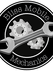 Bliss Mobile | Top Auto servicing in Sunshine Coast