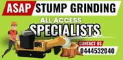 Professional Stump Removal Services on the Gold Coast