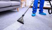 Carpet Clean Sunshine Coast
